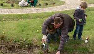 Първи уроци по гранинарство