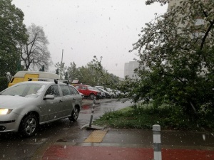 Зимата отново е тук