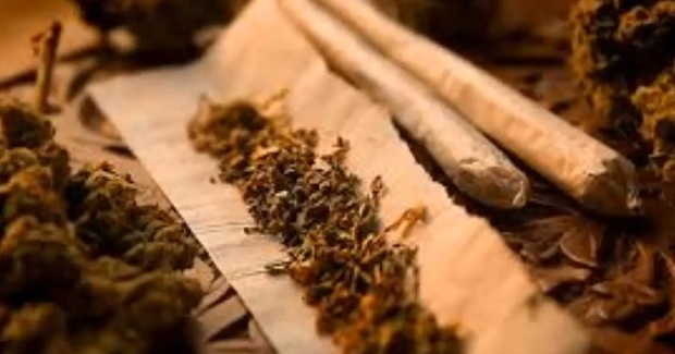 24 часа в районното за асеновградчанин, носил 0,380 грама марихуана в джоба