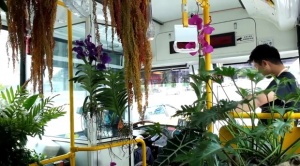 Автобус, обсипан с цветя, обикаля улиците в Тайпе