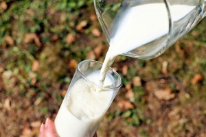 Какво показва изследването на млечни продукти (ВИДЕО)