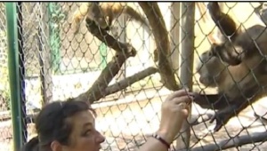 Повече пространство за животните в столичния зоопарк