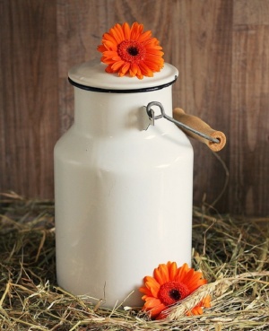 Фирми нарушават стандарта за българско кисело мляко, относно опаковките