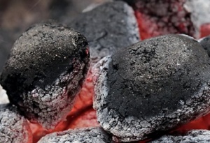 Промени и санкции за незаконния въгледобив