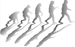 Извадиха еволюционната теория на Дарвин от турските учебници
