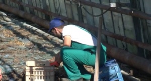 Защитени сме от градушки, но не навсякъде (ВИДЕО)