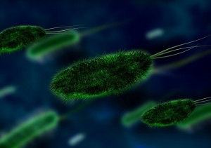 Трима човека в света са заразени с напълно нелечимия "супермикроб" гонорея