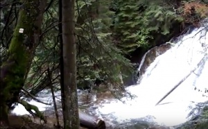 Инцидент Смолянските водопади