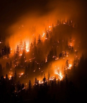 Продължават горските пожари в западната ни съседка Македония