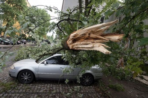 Ураганни ветрове в Полша убиха човек