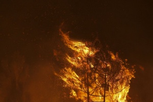 Над 4000 огнеборци се борят с пожарите в Португалия