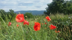Очаква ни слънчев и топъл уикенд