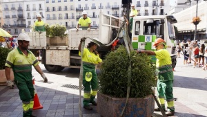 Мадрид ще пази пешеходците с бетонни саксии с цветя