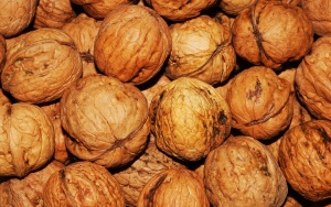 Откраднаха 50 кг орехи в община Твърдица