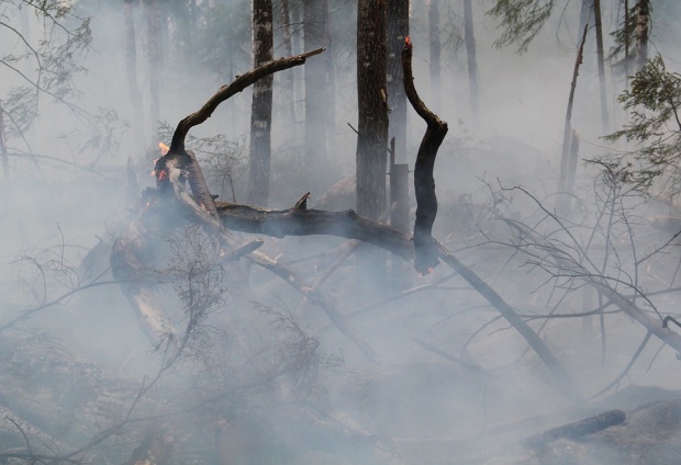 Увеличават се пожарите в сухи треви в Сливенско