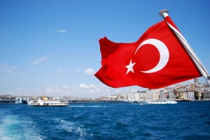 Арестуваха 73 чужденци в Турция за връзки с ИДИЛ