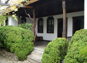 Зам.-кмет: Ще се самоубия публично, ако шефът на Вазовия музей не е уволнен както трябва