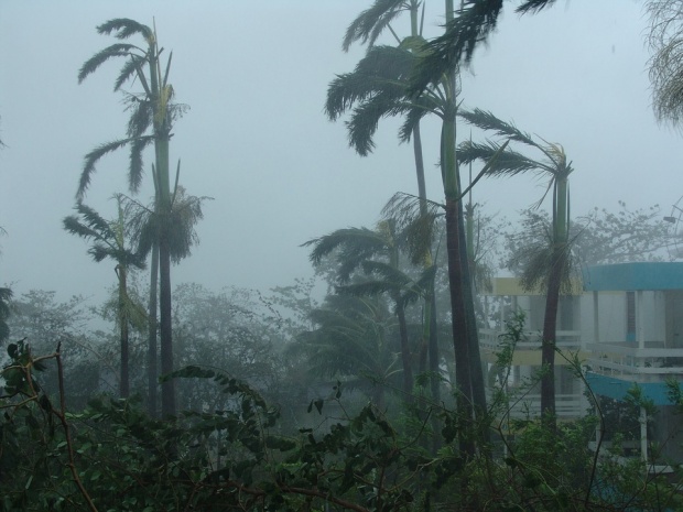 Жертвите от урагана Харви се множат