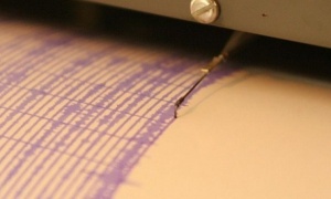 Земетресение разтърси  Япония