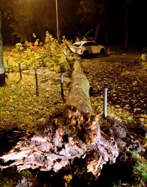 Ураганен вятър взе жертви в Полша