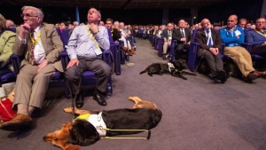 Шотландци поискаха спиране на парите за британската кралица