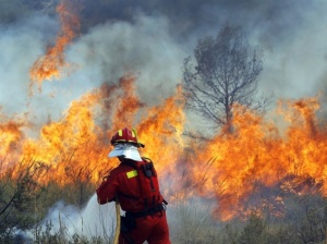 Десетки жертви и хиляди евакуирани заради пожарите в Калифорния