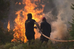 Пожар на гръцкия остров Евбея