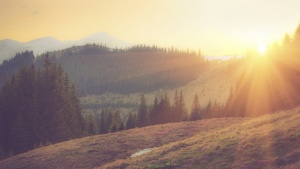 Слънчева и топла събота