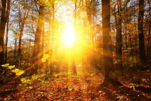 Слънчев и топъл петък: Температури до 21 градуса