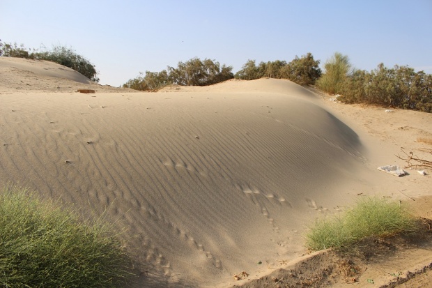 Археолог откри 400 загадъчни каменни структури в саудитската пустиня