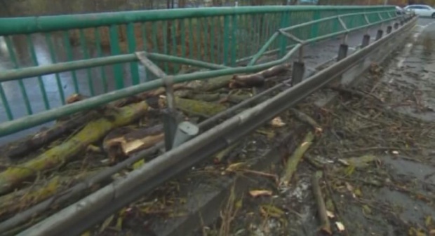 6 жертви на силните ветрове в Централна и Северна Европа