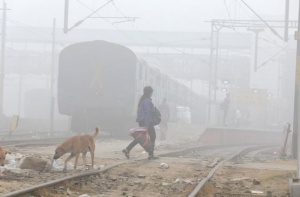 Извънредно положение в Делхи заради токсичен смог