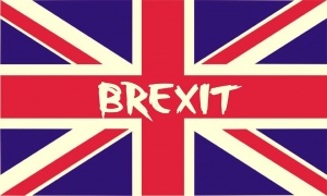 Кои са основните спорни въпроси около гласуването за Brexit?