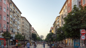 БСП се интересува от шума, небостъргача и детските градини в столицата