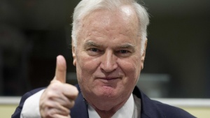 НАТО и ООН приветстваха присъдата срещу Ратко Младич