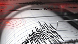 Земетресение стресна част от страната