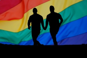 Русия вече си има убежище за гейове