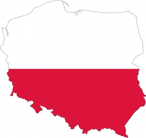 Трудното решение пред Полша