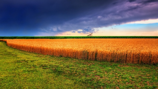 ЕС реформира общата селскостопанска политика