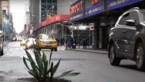 Шегаджия сади дръвчета в дупките по нюйоркските улици