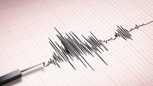 Земетресение с магнитуд 4,6 по Рихтер край Асеновград
