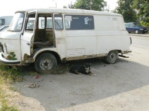 Масови проверки в Пловдив за незаконни автоморги