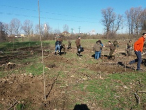 188 училища и детски градини в София с нови дръвчета в дворовете