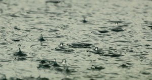 Повече от половината месечна норма са падналите за денонощие валежи в област Търговище