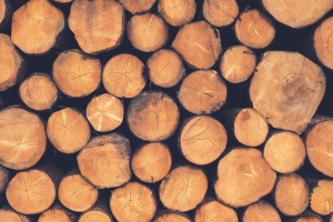 Анализ на незаконния дърводобив в България за периода 2013-2017