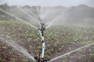 Нова формула ще казва колко дължат земеделците за напояване