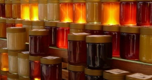 Мария Габриел дава началото на Световен симпозиум на мановия мед в Царево