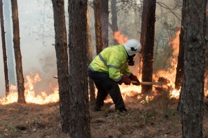 Швеция получи рекордна по мащаб помощ от ЕС срещу пожарите