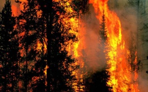 Риск от пожари заради топлото време у нас