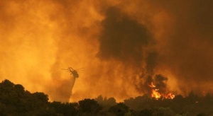 Жертвите от пожарите в Гърция вече са 95